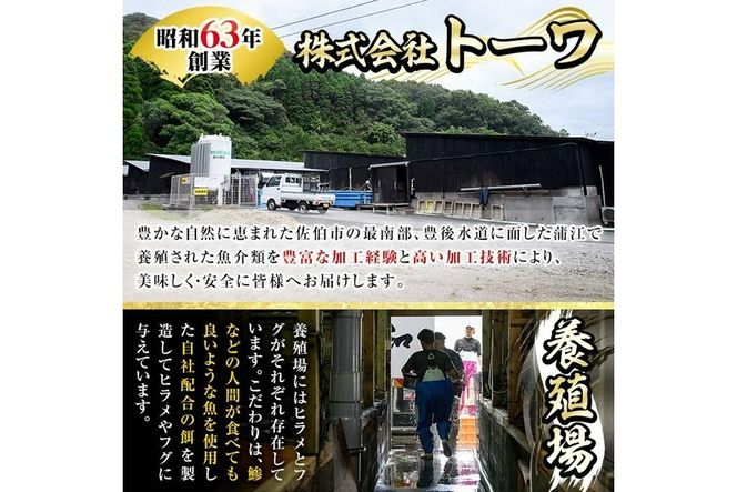 生簀直送 とらふぐ ぽん酢付き 刺し身 セット (刺し身×2皿・ヒレ×10g・皮スライス×60g) 魚 ふぐ 河豚 刺身 さしみ 小分け かぼす ポン酢 もみじおろし 冷凍 瞬間凍結 佐伯 養殖 国産 【EA23】【トーワ】