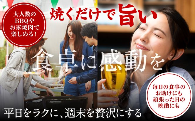 【訳あり】 焼肉セット 5種盛り 計1.7kg 牛肉 タン ハラミ みそ ホルモン プルコギ 豚バラ 豚肉 カルビ 肉 味付き おかず 焼き肉 炒め物 お惣菜 おつまみ バーベキュー