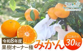 令和8年度果樹オーナー権（みかん）---sanagouchi_sko_8_1k---