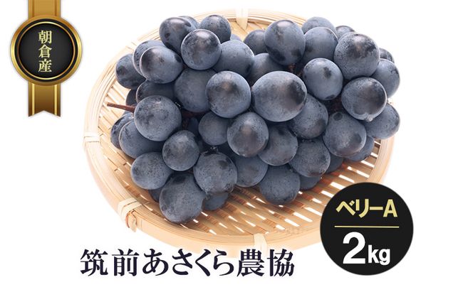 朝倉産 ベリーA 2kg フルーツ 果物 くだもの 筑前あさくら農協 発送予定：2026年7月下旬～8月上旬 ※配送不可：北海道、沖縄、離島