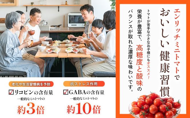 エンリッチミニトマトケチャップ　210g×2瓶【070012】