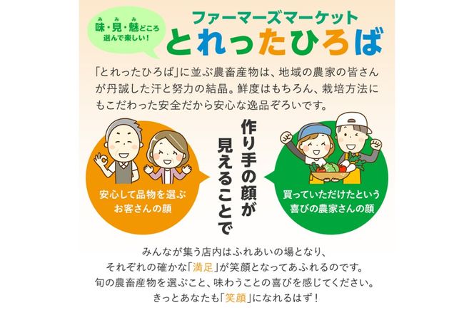 可児米（ほしじるしとコシヒカリのブレンド）　10kg 【0059-004】