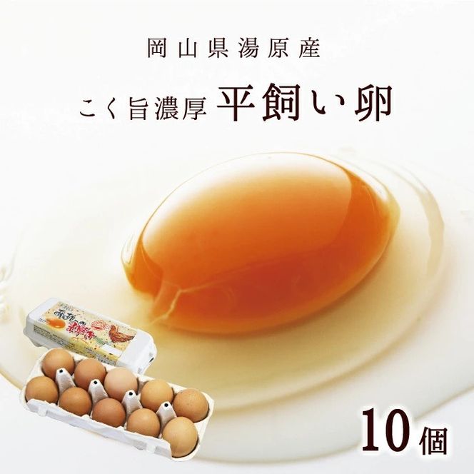 ふるさとお節介ギフト【夏】 (2026年7月上旬～8月下旬発送予定) / 先行予約 産地直送 農家 新鮮 あぐりガーデン 夏野菜 カット野菜 国産 たまご 平飼い卵 岡山県 真庭市 yasai034 【配送不可地域：北海道／沖縄県／離島】 【jujy091-01】