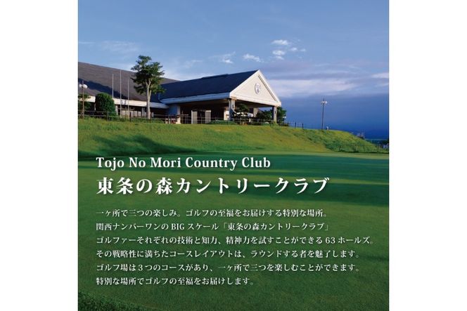 東条の森カントリークラブ 平日 1名様 プレー券 (4枚セット) 東条の森CC [ ゴルフ 加東市 兵庫県 関西 ゴルフ場 ] ゴルフ場利用権 