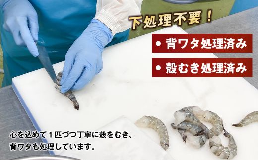 【定期便6ヶ月】至福の大粒 むきえび　背ワタ処理済 1kg　ブラックタイガー 冷凍 ムキエビ  大型 海老