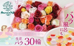 〈日付指定も可能〉 観賞はもちろん！バラ風呂やフラワーシャワーに！ ローズインにゅーよーくミックス３０輪 バラ３０輪詰め合わせ 風呂 薔薇 ローズ ギフト プレゼント ラッピング インテリア お花 フラワー H193-036