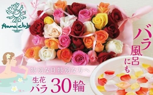 〈日付指定も可能〉 観賞はもちろん！バラ風呂やフラワーシャワーに！ ローズインにゅーよーくミックス３０輪 バラ３０輪詰め合わせ 風呂 薔薇 ローズ ギフト プレゼント ラッピング インテリア お花 フラワー H193-036