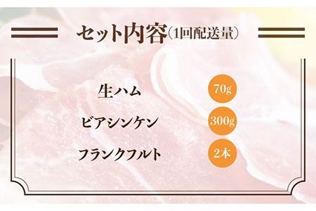 【全3回定期便】糸島の陽光ハムセット3 志摩スモークハウス[AOA014] 詰め合わせ ギフト ソーセージ お歳暮 お中元