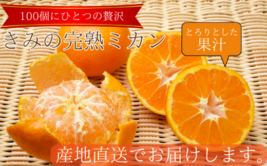 あま～い！ カツオの有機肥料が味の決め手！ 「きみの完熟ミカン」 約4.5kg (40~60個程度) サイズ混合 2S~M ご家庭用(秀優混合)/みかん ミカン 柑橘 和歌山県 有機 手選別 【kmf001】