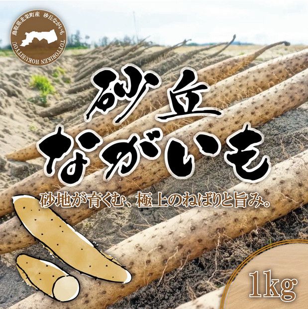 y挧khz1112.uȂ1kg 313726_CL001