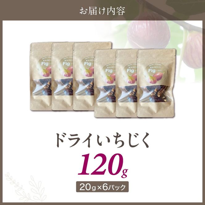 【無添加・砂糖不使用】農家が本気で作ったドライいちじく（20g×6パック） ドライフルーツ 完熟果実 乾燥 自然派 シンプル やさしい 甘い プチプチ イチジク 無花果 H164-013