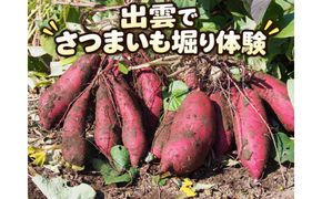 さつまいも堀り体験チケット 322032_GU001