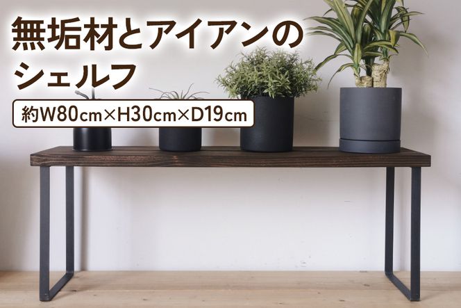 y{szCނƃACÃVFt _[NuE H30cm W80cm AR̓VRICbV i [2137]