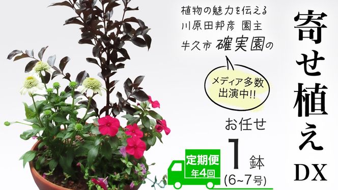 y錧vszs 31񂨓͂IN4  ty m IWi z 񂹐A DXi܂1_j K[fjO  ͂ t[  A [BG012us]