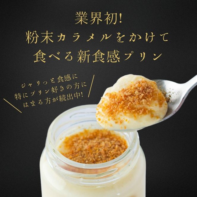 プリン専門店Totto PURIN プリン食べ比べ4個セット 312011_DD016