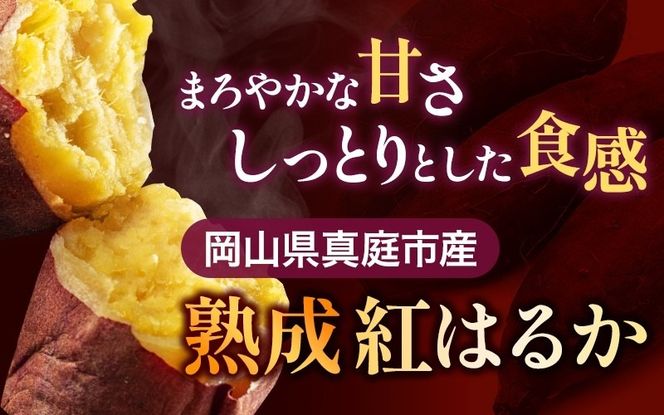 【訳あり】針山さんちのさつまいも 紅はるか 10kg / さつまいも 紅はるか 真庭 人気 【ybrf003-01】