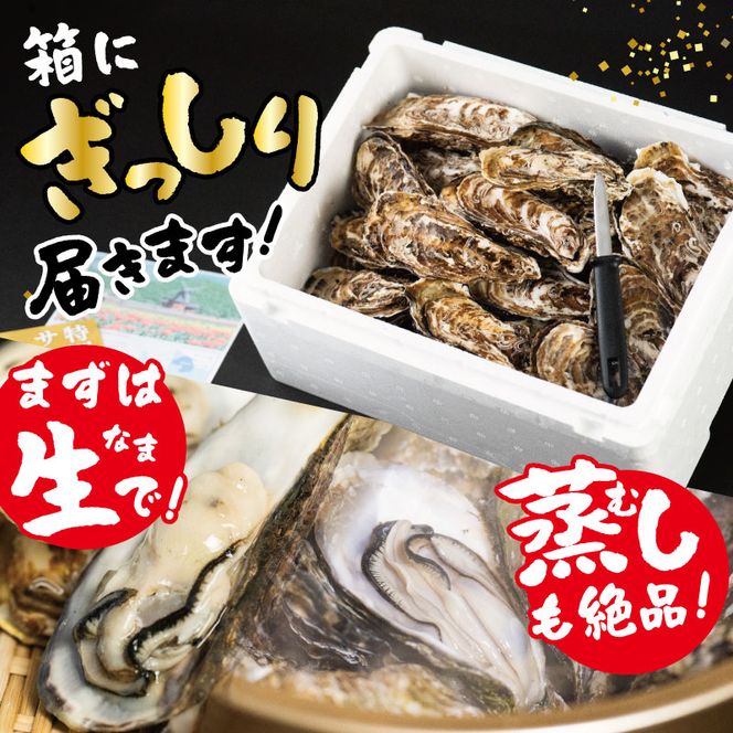 カキ 先行予約 北海道 オホーツク 湧別 サロマ湖産 殻付き 牡蠣 生食可 1.5kg 海鮮 魚介 国産 貝付き 生牡蠣 生食 焼き牡蠣 蒸し牡蠣 冷蔵 産地直送 