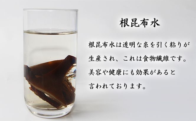 北海道 礼文島 香深産 希少 一等検 5年蔵熟成 天然 利尻根昆布 300g×2袋［野崎水産］【 昆布 根昆布 根こんぶ だし昆布 出汁 利尻昆布 熟成 根昆布水 海藻 】