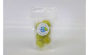 SANUKIFROZEN シャインマスカット 60g×8袋 372013_KF014