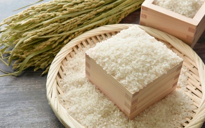 特別栽培米・伊賀米コシヒカリ 5kg tuli0001