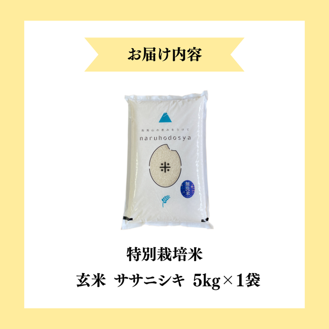 【令和7年産】栽培期間中 農薬・化学肥料不使用 【玄米】 特別栽培米ササニシキ5kg×1