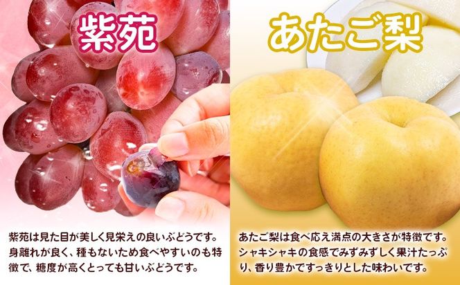 【2026年先行予約】【4回定期便】ぶどう 梨 岡山のフルーツ定期便 4回コース 岡山県産 シャインマスカット 晴王 ニューピオーネ 紫苑 あたご 株式会社山博《2026年9月上旬-12月末頃出荷》岡山県 笠岡市 フルーツ 果物 ぶどう あたご梨 マスカット お取り寄せ【配送不可地域あり】---Y-41a---