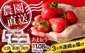 【全3回定期便】【農園直送】糸島のあまおう 270g×4パック (サイズおまかせL〜5L) 果物 フルーツ いちご / 糸島市 / 磯本農園 / TANNAL[ATB011]