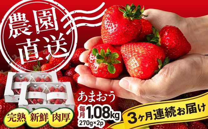 【全3回定期便】【農園直送】糸島のあまおう 270g×4パック (サイズおまかせL〜5L) 果物 フルーツ いちご / 糸島市 / 磯本農園 / TANNAL[ATB011]
