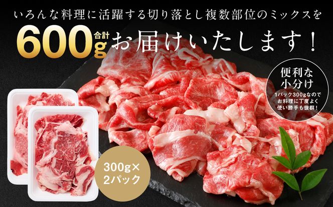 【訳あり】 くまもと黒毛和牛 切り落とし 600g（300g×2） 黒毛和牛 牛肉 和牛 ブランド牛 ブランド和牛 訳あり牛肉 ブランド牛肉 牛肉切り落とし ブランド牛切り落とし 小分け 熊本県産 くまもと 国産 人気 毎月数量限定 