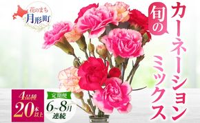 ＜2026年6月～8月まで3ヵ月連続お届け＞北海道 カーネーション ミックス 4品種 20本以上 花 花束 切花 ブーケ 旬 季節 生花 フラワー アレンジメント 
