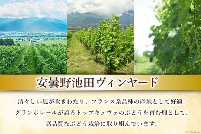 6回 定期便 ワイン セット サッポロ グランポレール 安曇野池田ヴィンヤード 6種 各750ml 総計36本 飲み比べ [池田町ハーブセンター 長野県 池田町 48110631] 赤 白 赤ワイン 白ワイン 辛口 シャルドネ