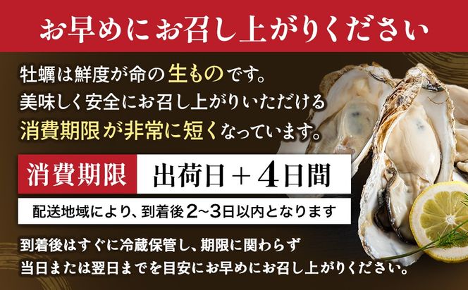 【先行予約】北海道 仙鳳趾名産 牡蠣 100g～149g×25コ＋かきナイフ付き｜ かき漁師直送 K1-1（出荷期間：2026年7月1日～9月末）【センポウシ : 釧路町の東 厚岸湾の西 カキの名産地】 仙鳳趾 せんぽうし 牡蠣 生食用 殻付き 牡蠣 絶品 産地直送 すぐ発送 北海道 釧路町 釧路超 特産品
