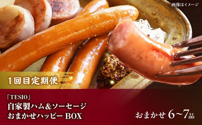 【全3回定期便】沖縄の絶品肉加工品セット【沖縄市】豚肉 ハム ソーセージ 豚まん ぶたまん ちまき 焼売 シュウマイ ハンバーグ 沖縄市 / TESIO / 豚々茶舗 / お肉屋本店[BCZZ030]