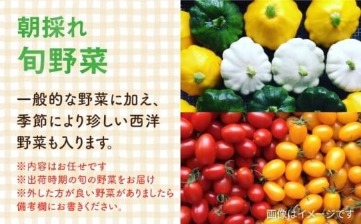 【全12回定期便】糸島の朝産み黄金タマゴ10個 朝どれ新鮮野菜5品 セット【福岡県糸島産】 糸島市 / オーガニックナガミツファーム 玉子 やさい 	[AGE049]