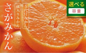 【期間限定】 ＜選べる種類と内容量＞さがみかん （5代目みかん or 蔵入りみかん) (4.5kg or 9.5kg）【温州みかん 甘い 濃厚 ジューシー コク 完熟 熟成みかん 蔵出し 蔵入り 柑橘 密柑 ギフト 果物 フルーツ 佐賀県産 佐賀県 大和 太良 石橋果樹園 人気】