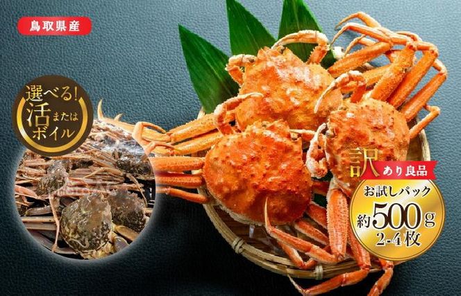 y挧khz923.y{Cz挧Y@󂠂@ǕiZRKj@pbN@500i2`4js Jj I ZRKjt2025/11/6`2025/12/29ɏ\聦ws  sikCA{͔z\j 313726_AL003VC01