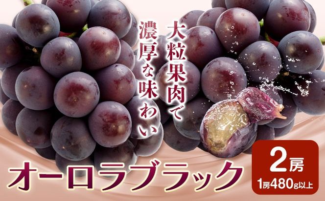 yR}szԂǂ I[ubN t[c 2[ (1[480gȏ) ϔ ЎRs2026N8{-9{oׁtR }s  uhE 嗱 Ȃ 햳  ʕ { Y RYyzsn悠z---Y-32---