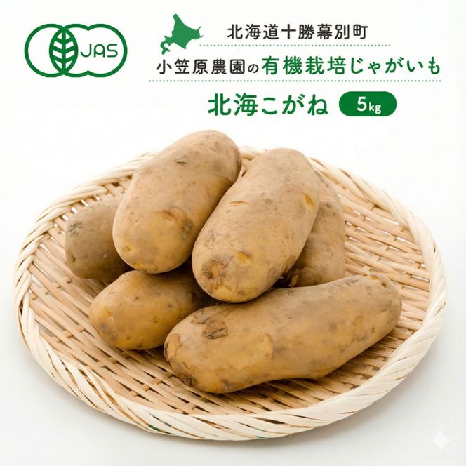小笠原農園の有機じゃがいも「北海こがね」5kg 北海道 十勝 幕別 《2026年秋出荷先行予約》【  野菜 芋 じゃがいも 北海こがね 】