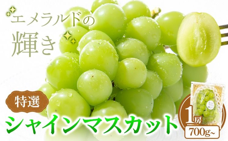 特選 シャインマスカット 1房 700g~ ぶどう マスカット フルーツ 果物 岡山県産 中嶋ぶどう園 ブドウ シャイン[9月上旬-10月下旬頃出荷]岡山県 矢掛町 送料無料 お取り寄せフルーツ---osy_cnkssm_ak9_25_17000_1---