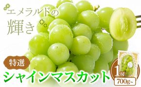 特選 シャインマスカット 1房 700g~ ぶどう マスカット フルーツ 果物 岡山県産 中嶋ぶどう園 ブドウ シャイン《9月上旬-10月下旬頃出荷》岡山県 矢掛町 送料無料 お取り寄せフルーツ---osy_cnkssm_ak9_25_17000_1---