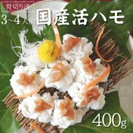 国産 活はも (骨切り済) 400g ( 3人前 ～ 4人前 )【天然 はも ハモ 鱧 鮮魚 皮付き 湯引き はもしゃぶ】_R6009