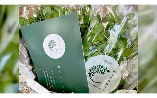 みくにクレソン100g×7袋 美容 健康 野菜 スーパーフード クレソン [CY002ci]