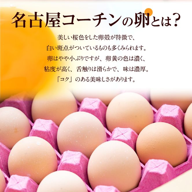 【3回便】名古屋コーチン卵・仙寿卵お試しセット（各10個入り）×3回（計各30個） [006K02-T]
