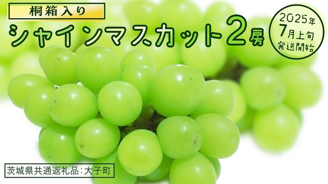y錧vszy˔z VC}XJbg Q[ y2025N7{Jnz(錧ʕԗiFq) Ԃǂ  }XJbg t[c ʕ p Mtg 蕨