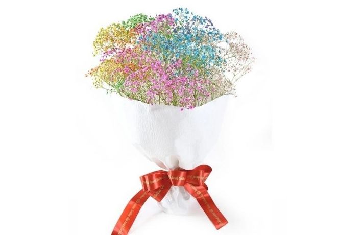 ふわふわブーケ ｜ 生花 花 ギフト ロマンチックかすみ草 七色 輝く カスミソウ カスミ草 かすみそう お祝い プレゼント カラフル 花束 おしゃれ