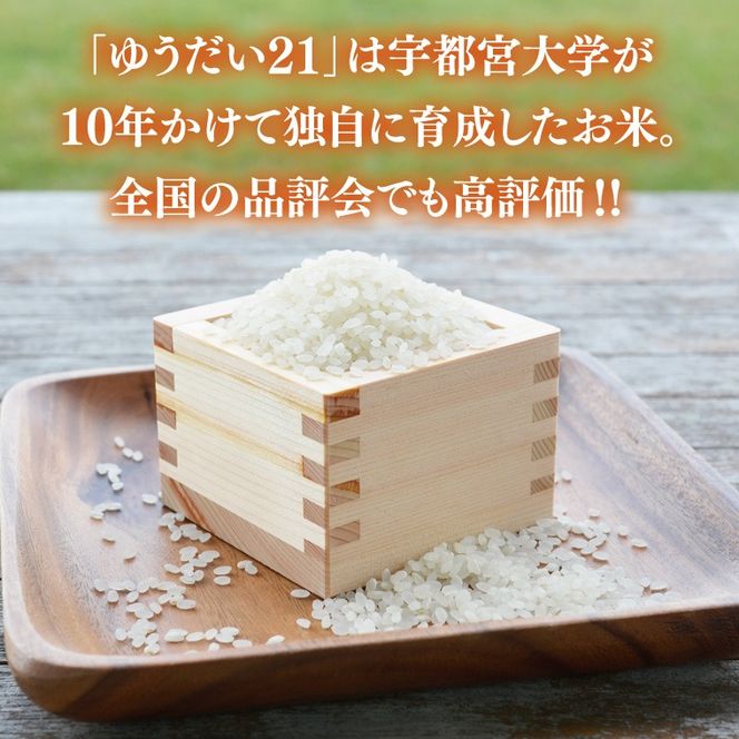 ★新米 令和8年★ 米 5kg 白米 「ゆうだい21」 ＼先行予約／ 山﨑観光農園 栃木県 益子町 ふるさと納税 お米 ゆうだい21 白米 精米 5キロ 令和8年産 先行予約 (AU058)