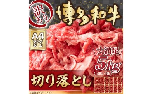 yɕ{sz󂠂I a ؂藎Ƃ 5kg 500g×10pbN