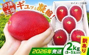 【2027年発送 先行予約】【訳あり】沖縄市産マンゴー「太陽のめぐみ」 2kg(3〜5玉) 南国フルーツ 産地直送 新鮮 沖縄県産 ギフト 沖縄市 / 比嘉マンゴー園[BCEW004]