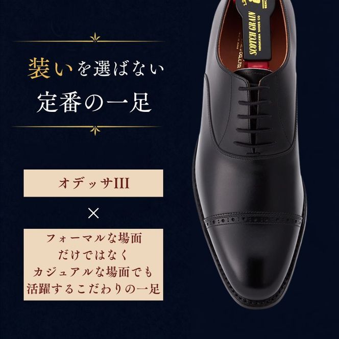 スコッチグレイン ビジネスシューズ メンズ オデッサIII 908 パンチドキャップトゥ 革靴 本革 日本製 E 送料無料 ギフト