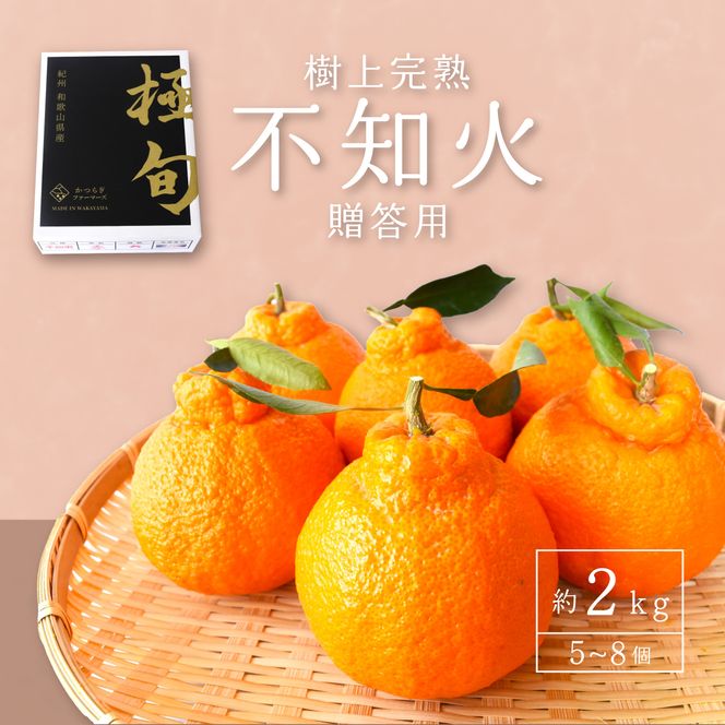 【先行予約】【数量わずか】樹上完熟しらぬい（不知火） 約2kg(6個) 秀品　2027年2月末～2027年3月末頃に順次発送予定（お届け日指定不可）/ 和歌山 みかん しらぬい 不知火 フルーツ 柑橘 蜜柑 果物 くだもの【kgr005】